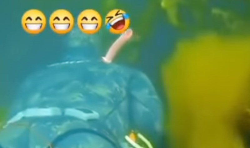 Prijatelju koji roni odlučio je prirediti brutalno iznenađenje, morate vidjeti reakciju