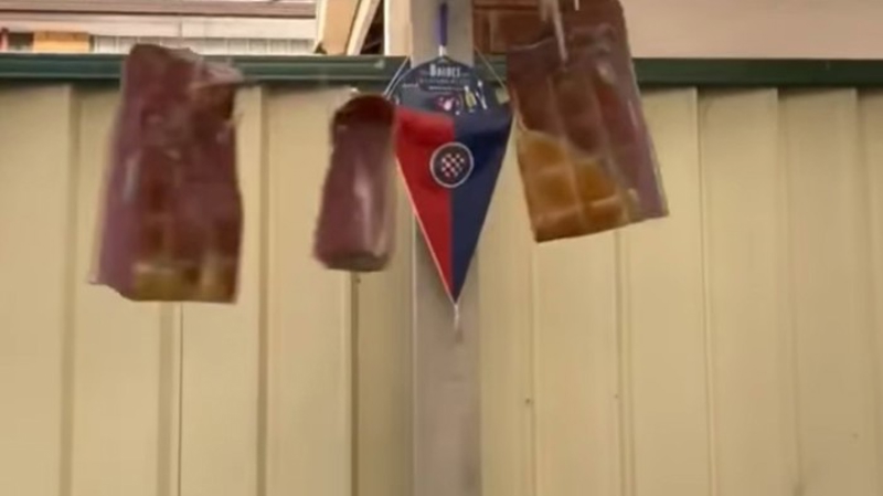 Širi se hit snimka, pogledajte kako Dalmatinci suše meso u Australiji