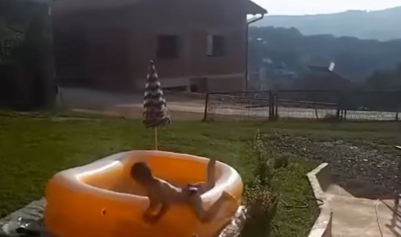 Mama je išla snimiti dijete kako uskače u bazen, uslijedila je scena koja obara rekorde