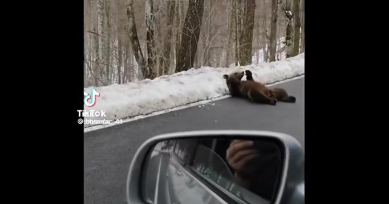 Tip se vozio autom kraj Delnica i snimio ovaj prizor, video je hit na TikToku