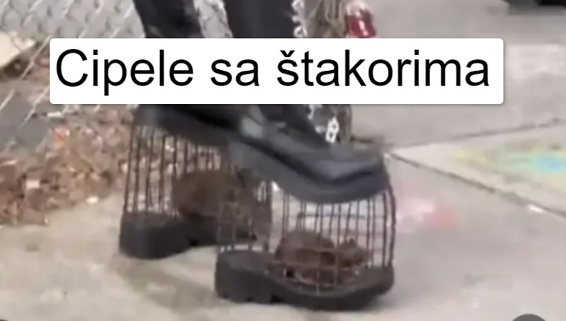 Ljudi dijele fotke najčudnijih i najstrašnijih stvari koje su vidjeli, odabrali smo 8 najboljih