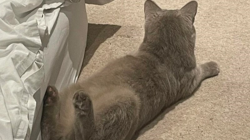 12 fotki koje djeluju fotošopirano, ali definitivno nisu!