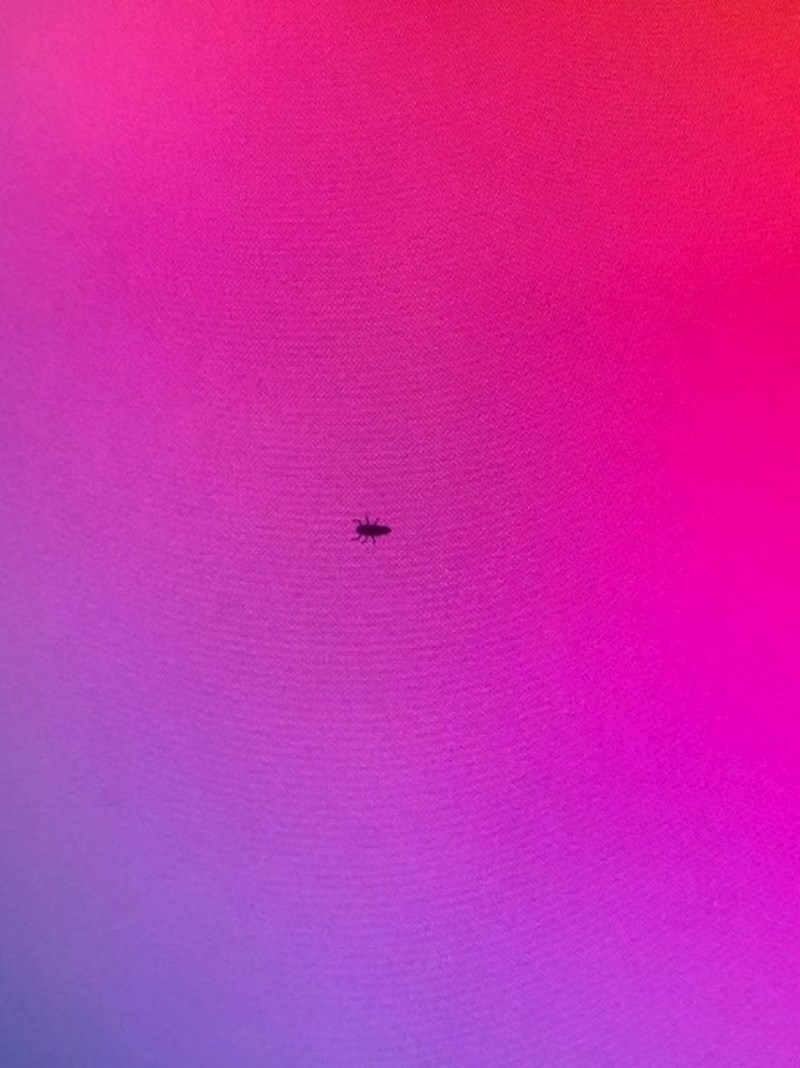 Kukac je ušao u novi ekran od 2 tisuće kuna