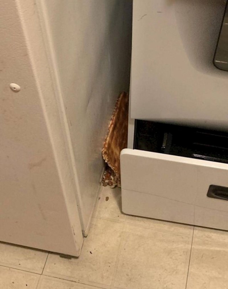 Pizza joj ovaj put nije dobro ispala.