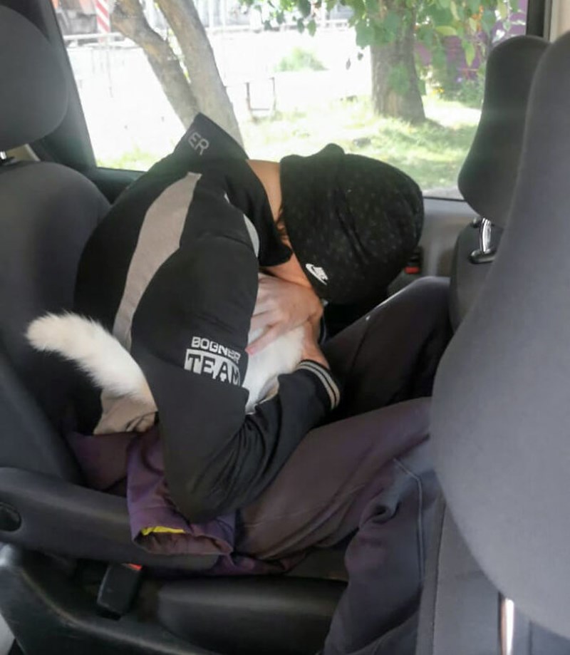 Mama je pronašla mačku koja je nestala prije godinu dana