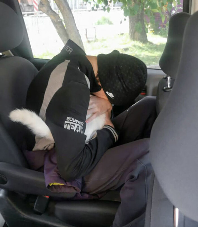 Mama je pronašla mačku koja je nestala prije godinu dana