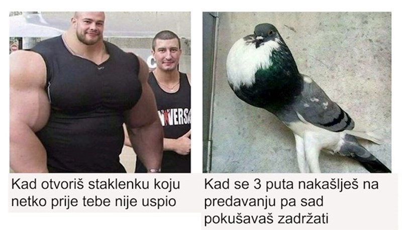 19 fotki u kojima će se svi prepoznati