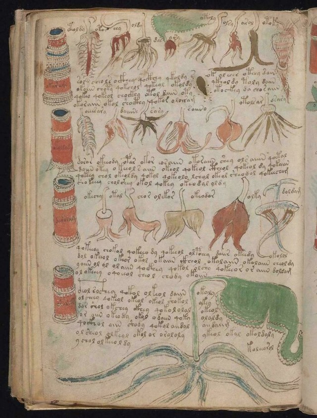 Rukopis Voynich