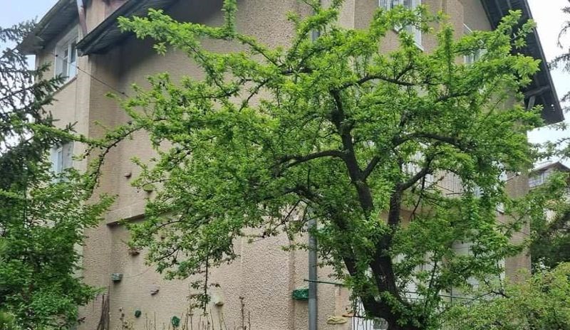 Fotka kuće postala je hit u svijetu, svi su uvjereni da je iz Imotskog. Odmah ćete shvatiti zašto