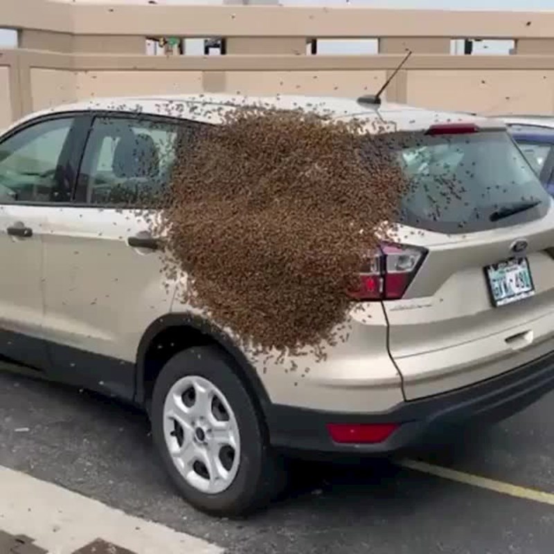 Nope. Kupit će novo auto