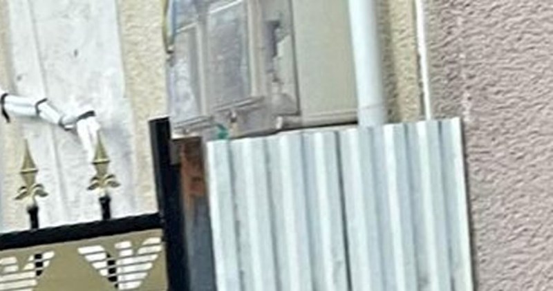 Prizor iz jednog dvorišta do suza je nasmijao ljude na Fejsu, odmah će vam biti jasno zašto