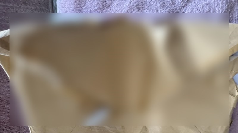 Hrvatska pošta dostavila mu je paket, morao je podijeliti sa svima kakav je stigao