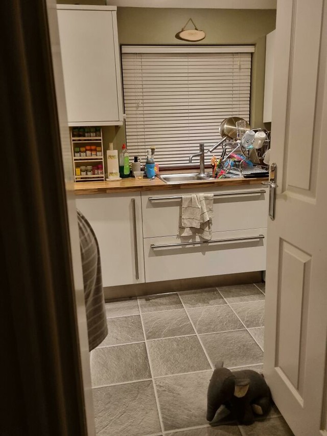 Gdje se skrio njegov ljubimac?