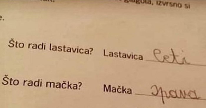 Djeca u zadaći trebala odgovoriti na razna pitanja, iskreni odgovor dječaka nasmijat će vas do suza