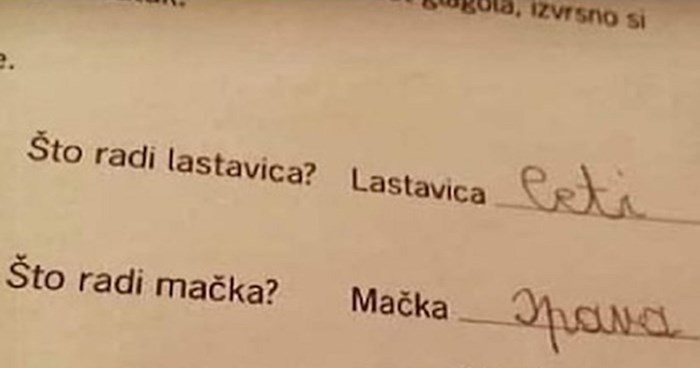 Djeca u zadaći trebala odgovoriti na razna pitanja, iskreni odgovor dječaka nasmijat će vas do suza