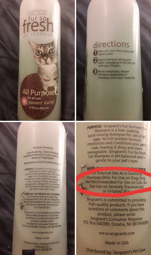 Šampon za mačke koji je zabranjeno koristiti na mačkama
