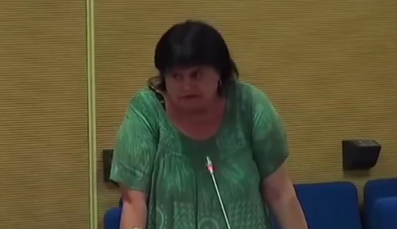 Snimka iz Crne Gore širi se brzinom munje, odvalit ćete od smijeha kad čujete ovu ravnateljicu