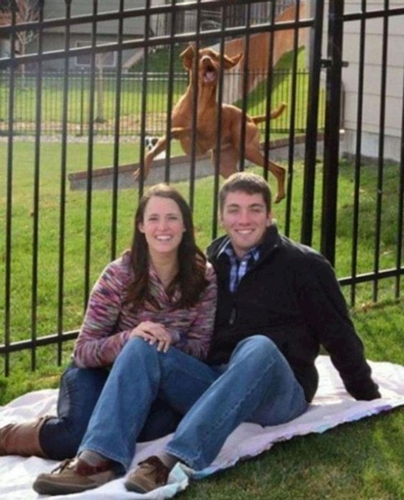 A mogla je to biti dosadna fotka zaljubljenog para..