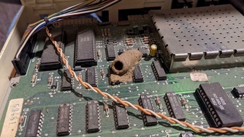 "Čuo je čudne zvukove iz svog PC-a"