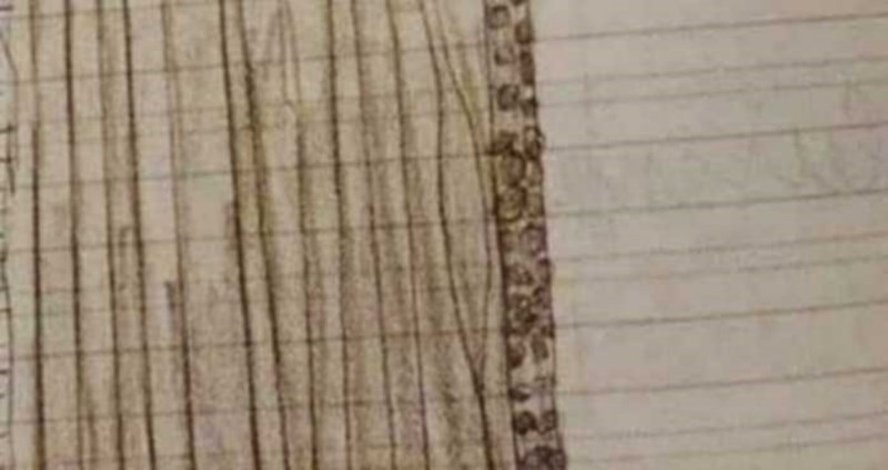 Klinac je za zadaću morao nacrtati najdraži instrument, rezultat je apsolutni hit