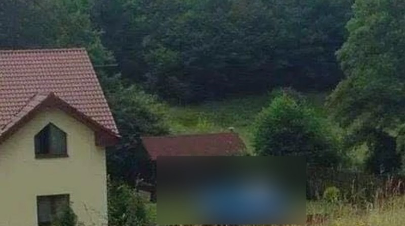 Scena iz Poljske oduševila je svijet, morate vidjeti čime se vlasnik vozi u dvorištu