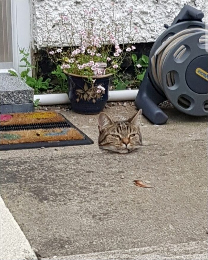 Okej, ni nama nije jasno kako je ovo moguće