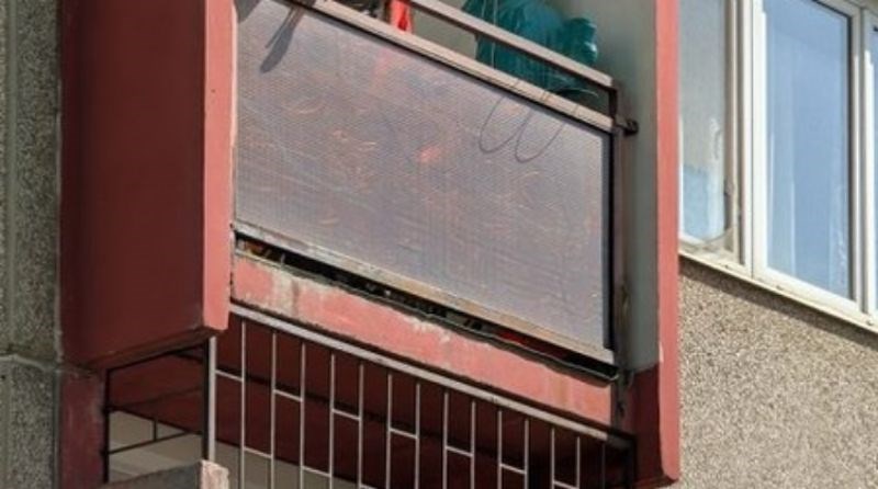 Fotka iz Budimpešte obilazi svijet, morate vidjeti što tip čuva na balkonu