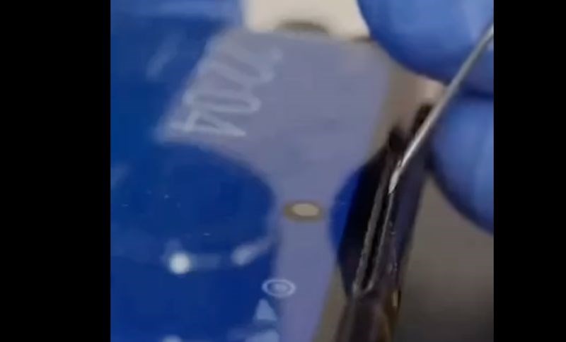 Upozoravamo vas, nakon ovog videa na svoj mobitel više nikad nećete gledati istim očima