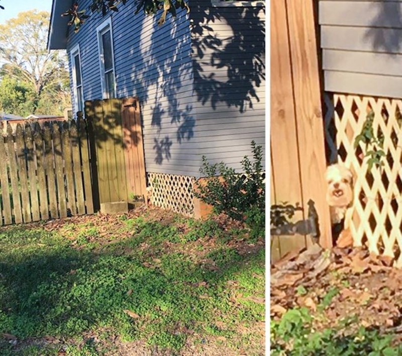 Kad onaj jedan susjed stalno promatra što radiš