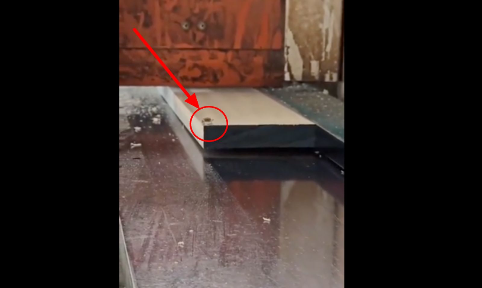 Garantiramo, ovaj video od 40 sekundi pogledat ćete od prve do zadnje sekunde. I onda opet