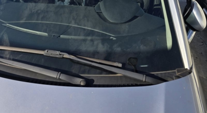 U Rijeci je snimljena prebizarna scena, morate vidjeti koga je čovjek zavezao na suvozačkom sjedalu