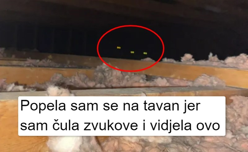 15 ljudi kojima tjedan definitivno nije počeo onako kako su planirali