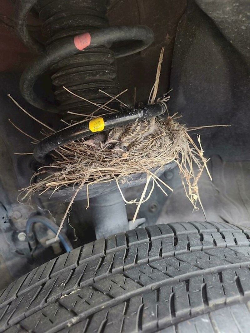 Kad auto stoji predugo na parkiralištu