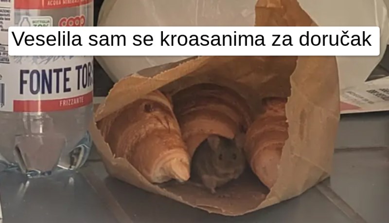 12 ljudi kojima dan definitivno nije počeo onako kako su planirali