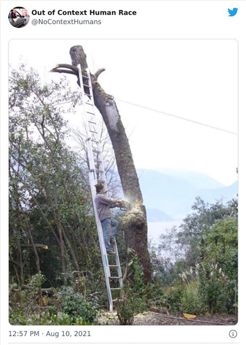 Super ideja, samo tako nastavi!