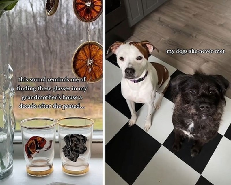 Pronašla sam ove čaše u kući moje bake. Desno su moji psi koje nikad nije upoznala