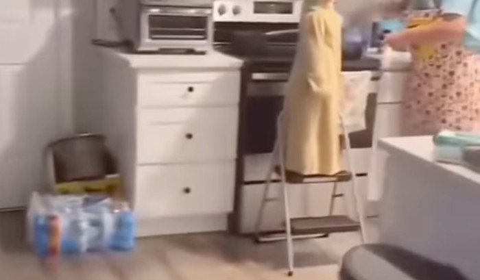 Tata i sin ostali su sami u kući jedno prijepodne, morate vidjeti što je mama zatekla kad se vratila