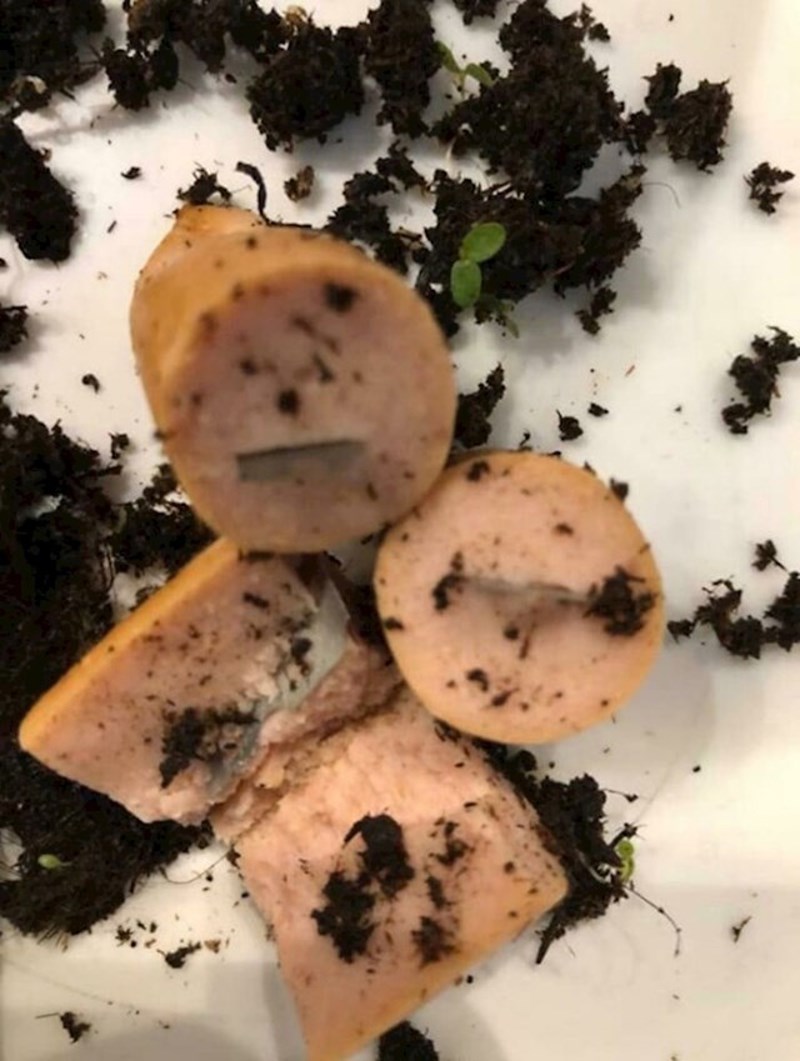 Netko ubacuje žilete u hrenovke i ostavlja ih u parku za pse