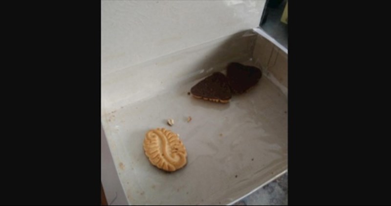 Ova fotografija izazvala je žestoku raspravu na internetu: Jedete li vi ovako Domaćicu?