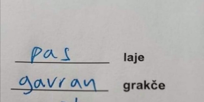 Odgovor iz nečijeg školskog zadatka nasmijao je cijelu Hrvatsku, odmah ćete vidjeti zašto