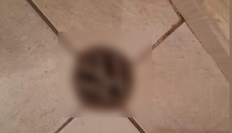 Fotka iz BiH je svjetski hit, nećete vjerovati što je tip stavio u kupaonicu umjesto poklopca