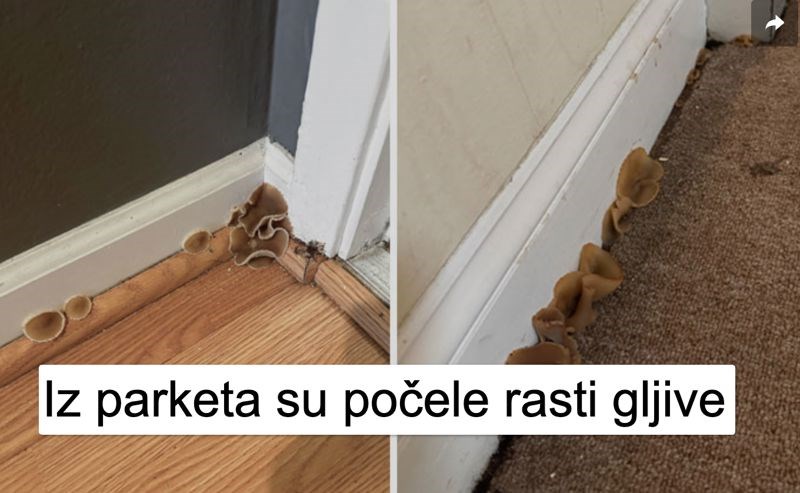 Ljudi dijele fotke najgoreg smještaja u kojem su živjeli, odabrali smo 10 ludih primjera