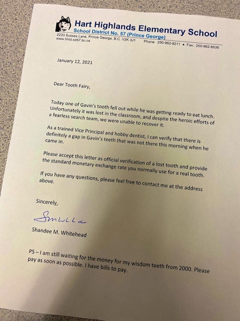 Sinu mi je ispao zub u školi, ravnatelj je napisao pismo Zubić vili