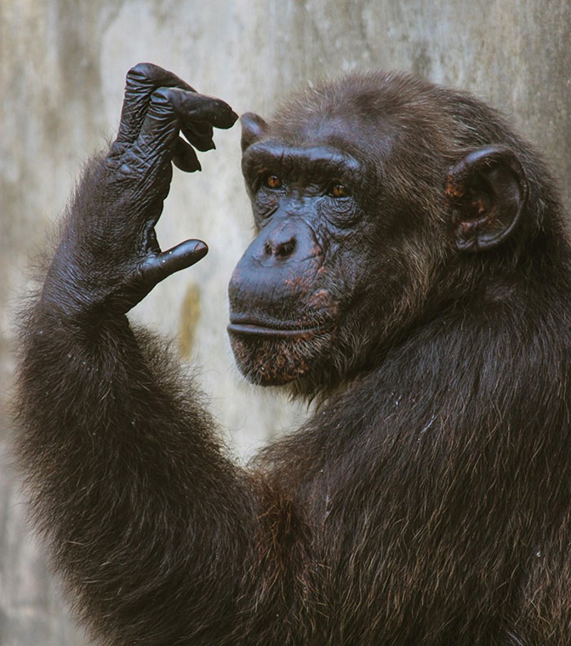 Ja sam antropolog i biolog i ovo mnogi shvaćaju krivo: