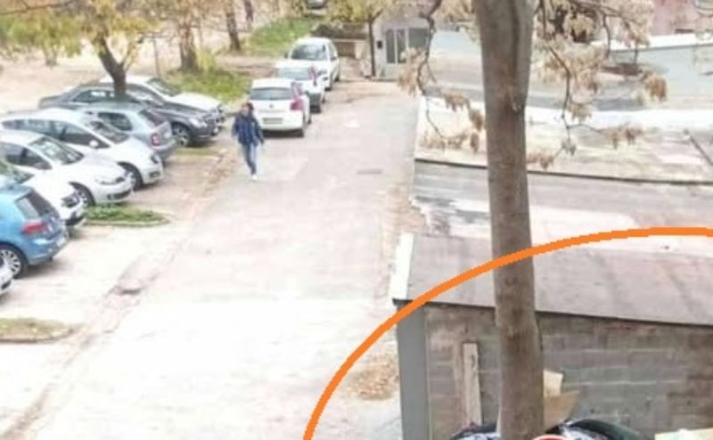 Ljudi ne mogu vjerovati gdje se ovaj tip sjetio da može parkirati, scena je nevjerojatna