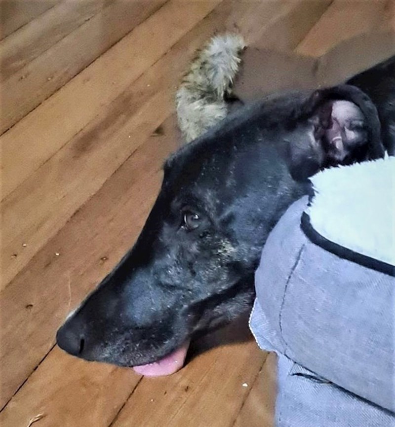 18. "Njegovo uho izgleda kao Michael Jackson"