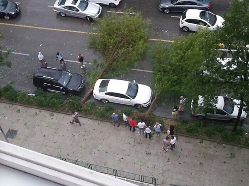 Palo je stablo dok su spavali u prikolici