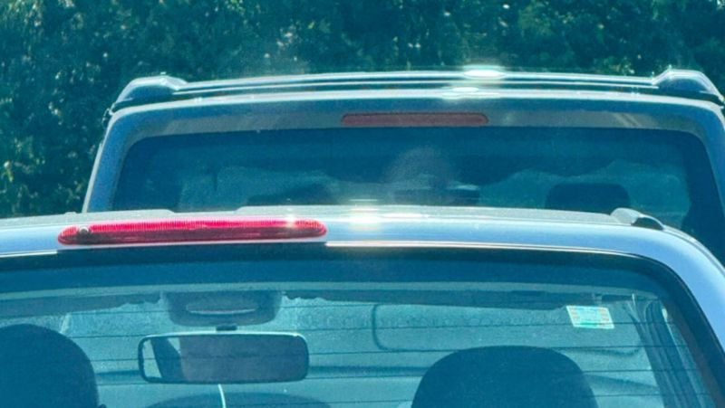 Ne pretjerujemo. Stvarno, ali stvarno nećete vjerovati što je Dalmatinac iskoristio za miris u autu