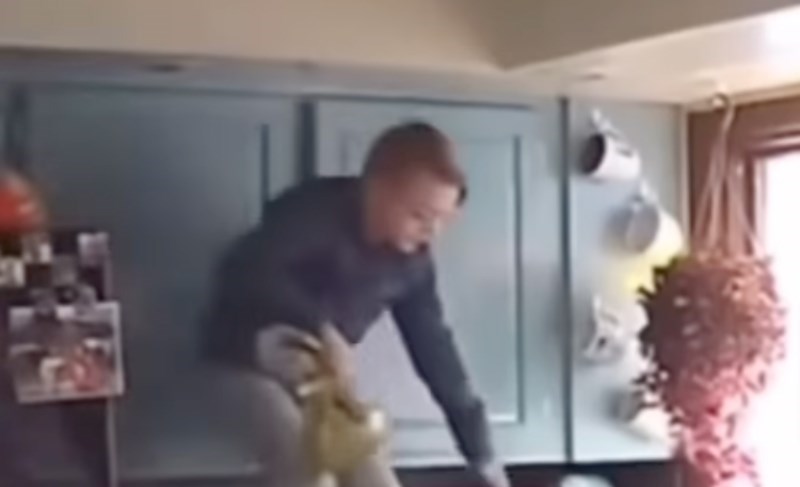 Klinac je išao ukrasti kekse s vrha hladnjaka, snimka toga kako je uhvaćen će vas oduševiti