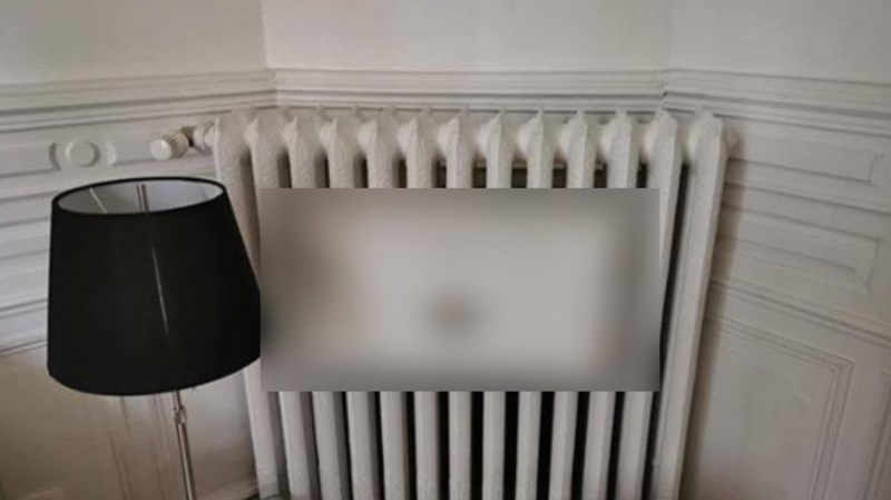 Ekipa na internetu ovo zove najgenijalnijim izumom ikad, morate ga vidjeti